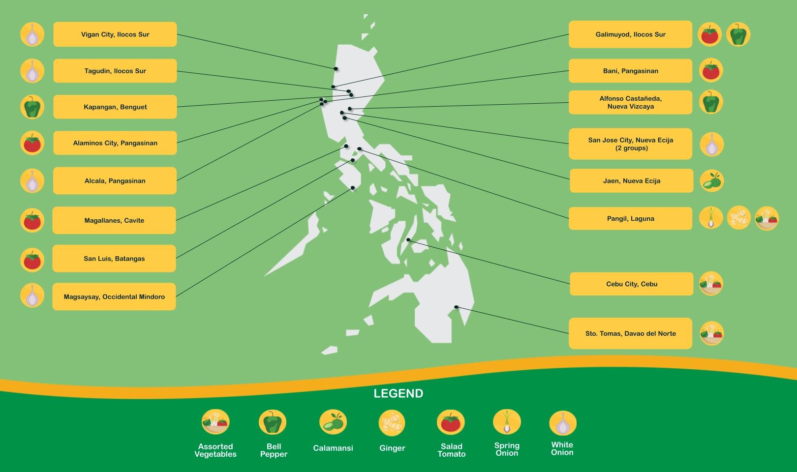 FEP Comprehensive Philippine Map: Cities and Islands Illustrated